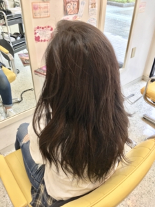 写真 2017-06-12 12 05 50.jpg