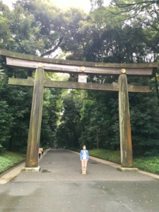 写真 2017-10-17 16 04 32.jpg